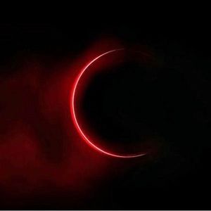 Meet your Posher, Kyra